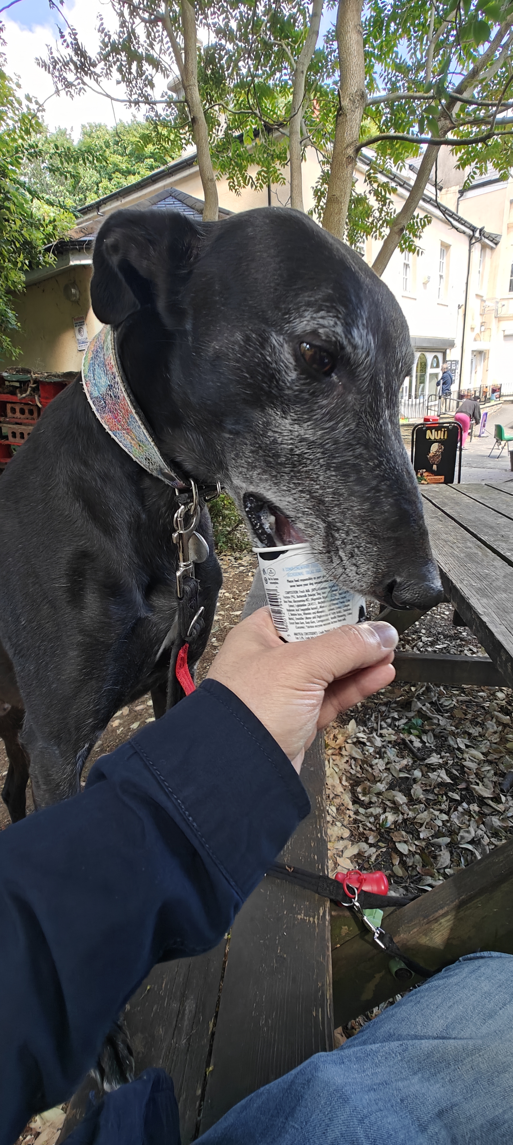 Pat loves ice cream!